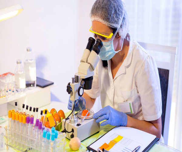 Testing Process